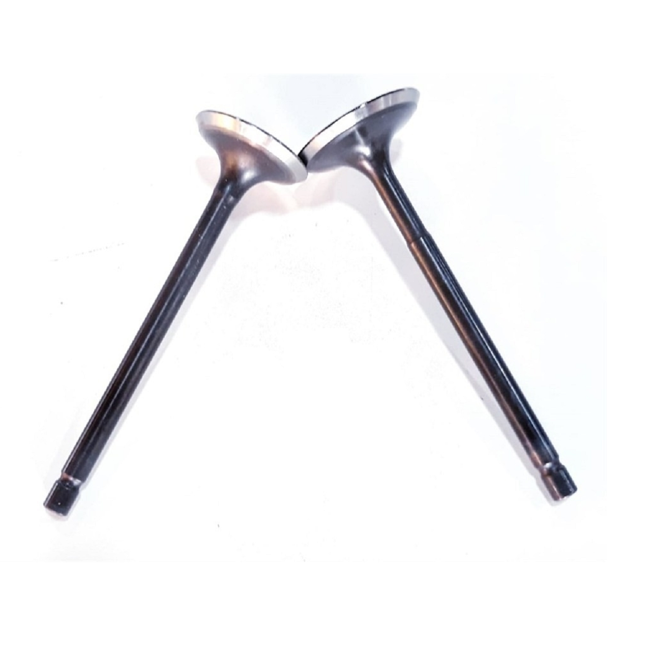 Apache Rtr150 Sibop Takımı 28-24-79-5 Prc