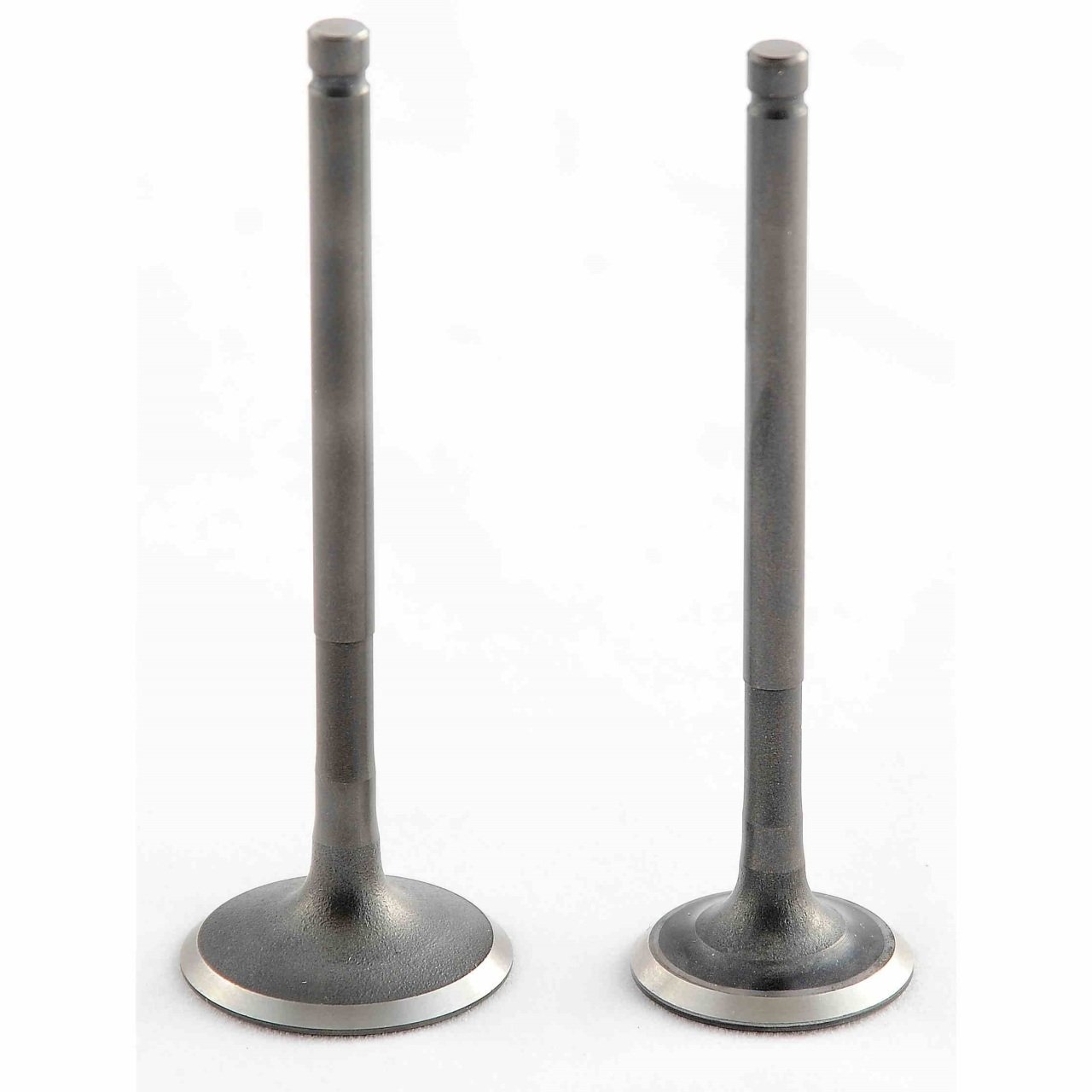 Honda Titan Sibop Takımı Vtc Rialli