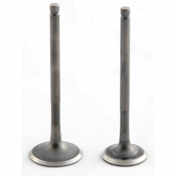 Honda Titan Sibop Takımı Vtc Rialli