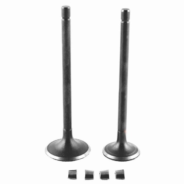 Cg Serisi Subap Takımı 200cc Vtc Monero