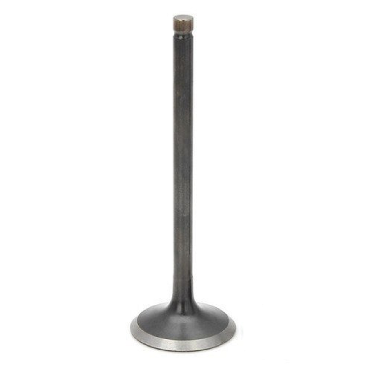 Honda Titan Sibop Emme Taiwan