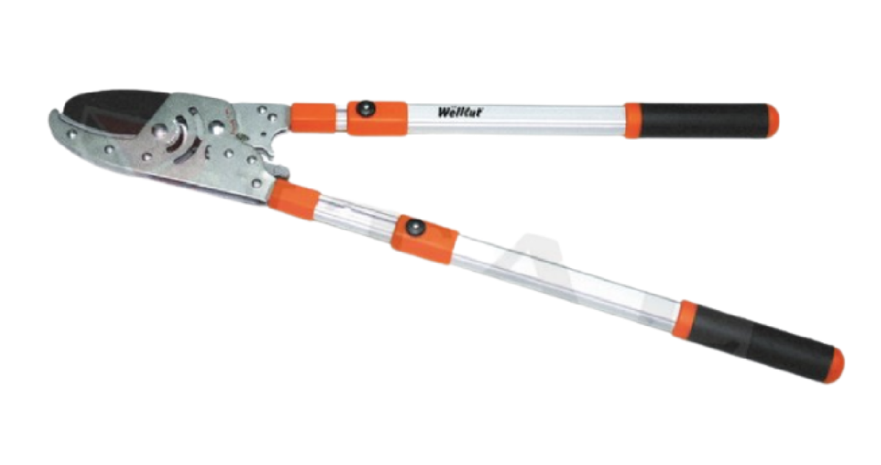 Welkut HC-3202 TW Kalın Dal Makası Cırcırlı Teleskopik Saplı (Uzatmalı)