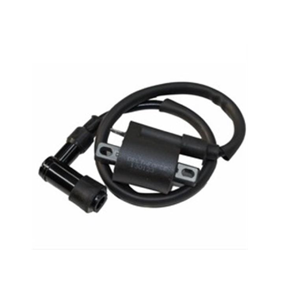 Cg Serisi Ateşleme Bobini Buji Başlıklı Prc