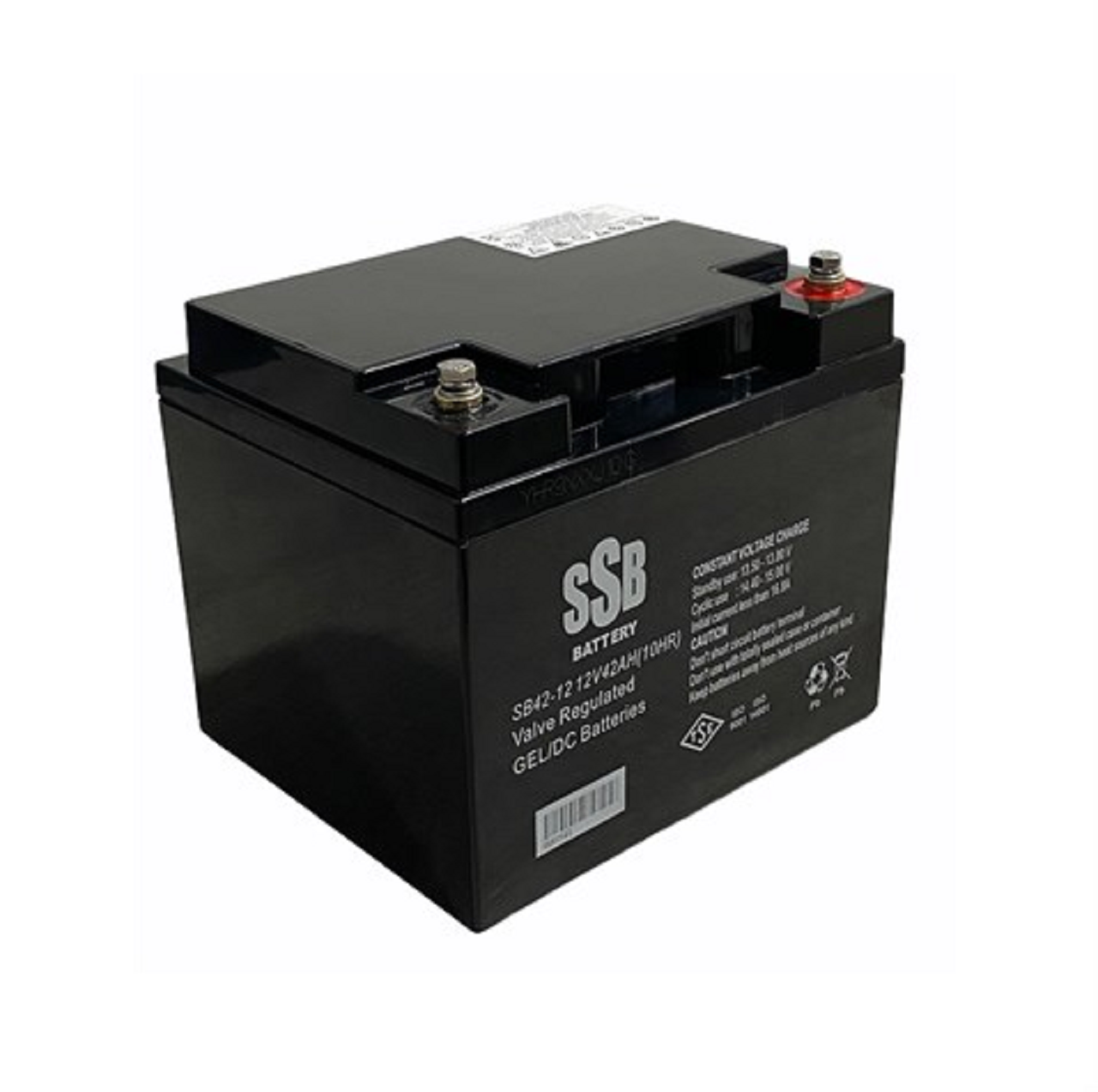 Akü 12V 45AH Elektrikli Araç SSB