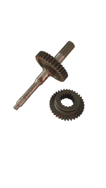 Bertoloni Geri Vites Dişli ve Mili Renixpart