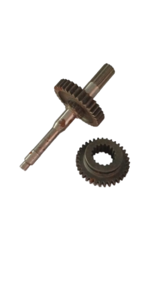 Bertoloni Geri Vites Dişli ve Mili Renixpart