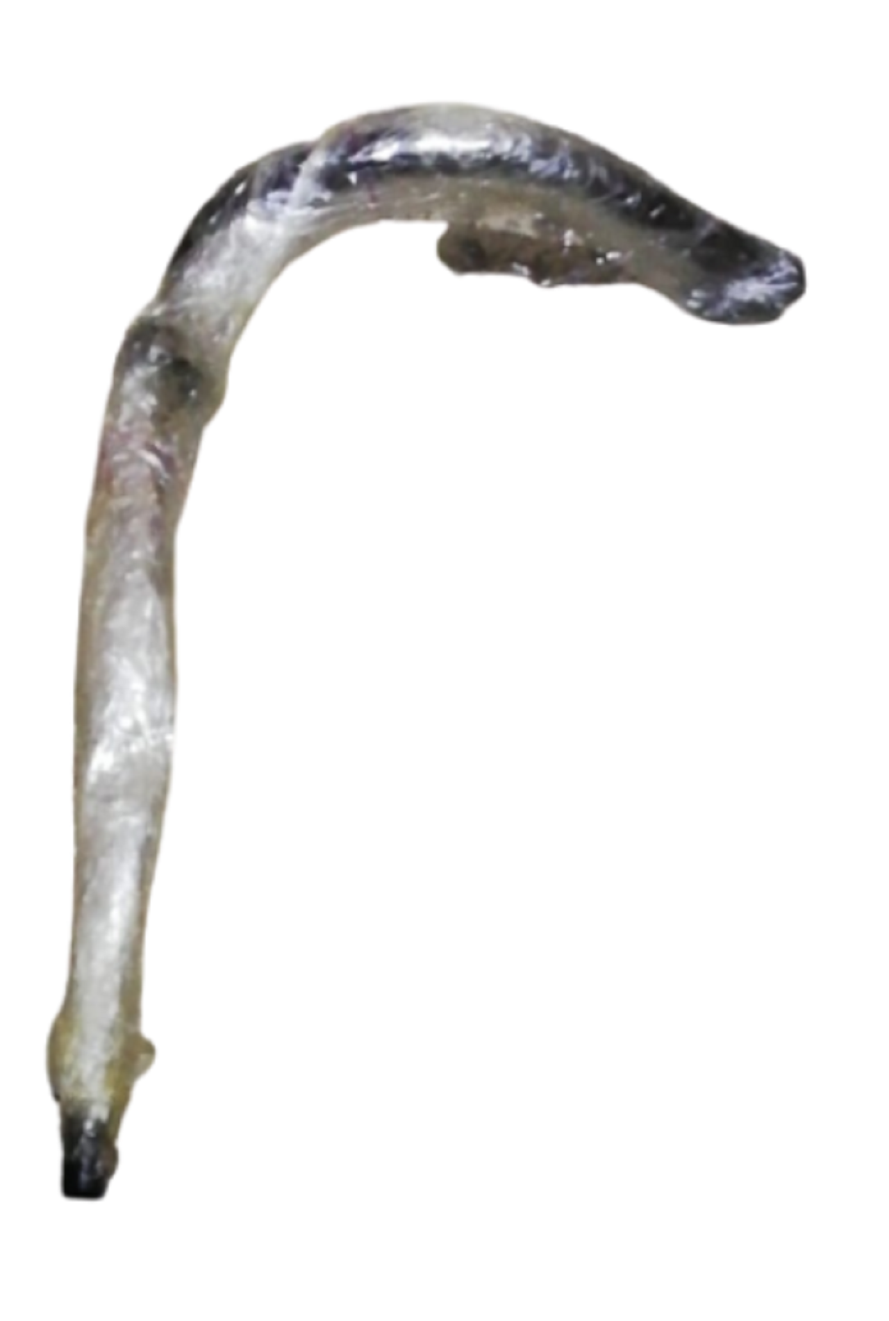 Minsk 125 Fren Pedalı Orjinal