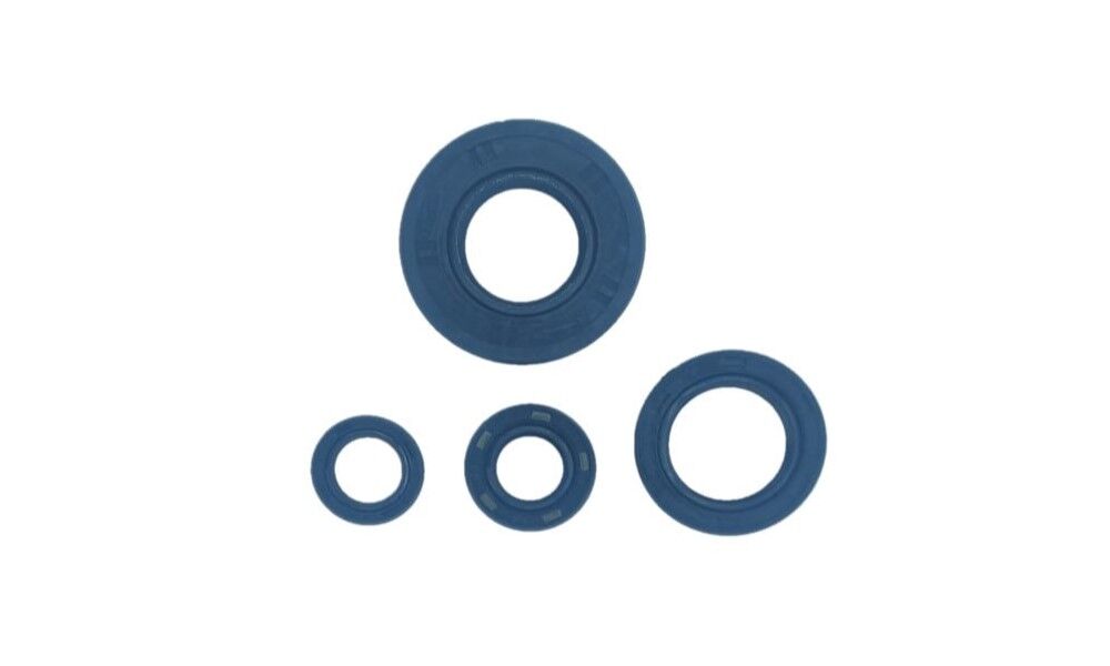 Yamaha YBR 125 Keçe Seti CTVR