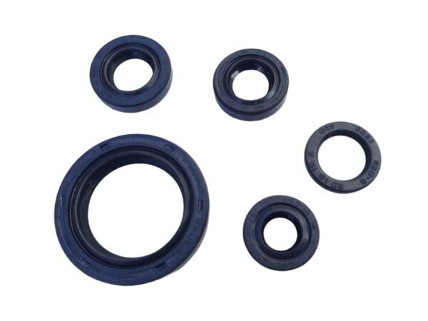 Bajaj Pulsar NS200 Keçe Takımı MSR