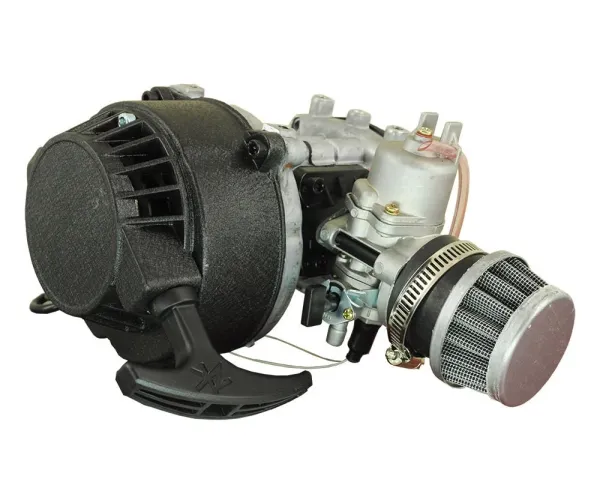 Goldmoto GM40F Benzinli Motor 1E40F 2 Zamanlı 1.34HP