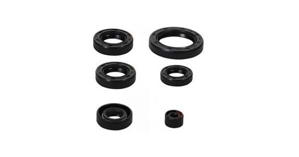 CG Serisi Keçe Takımı CTVR