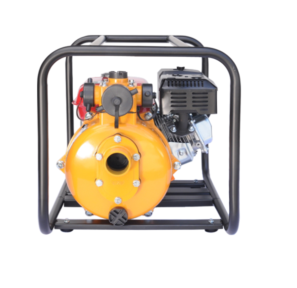 Goldmoto GM2BYP Benzinli Su Motoru İpli Yüksek Basınçlı 2 Parmak