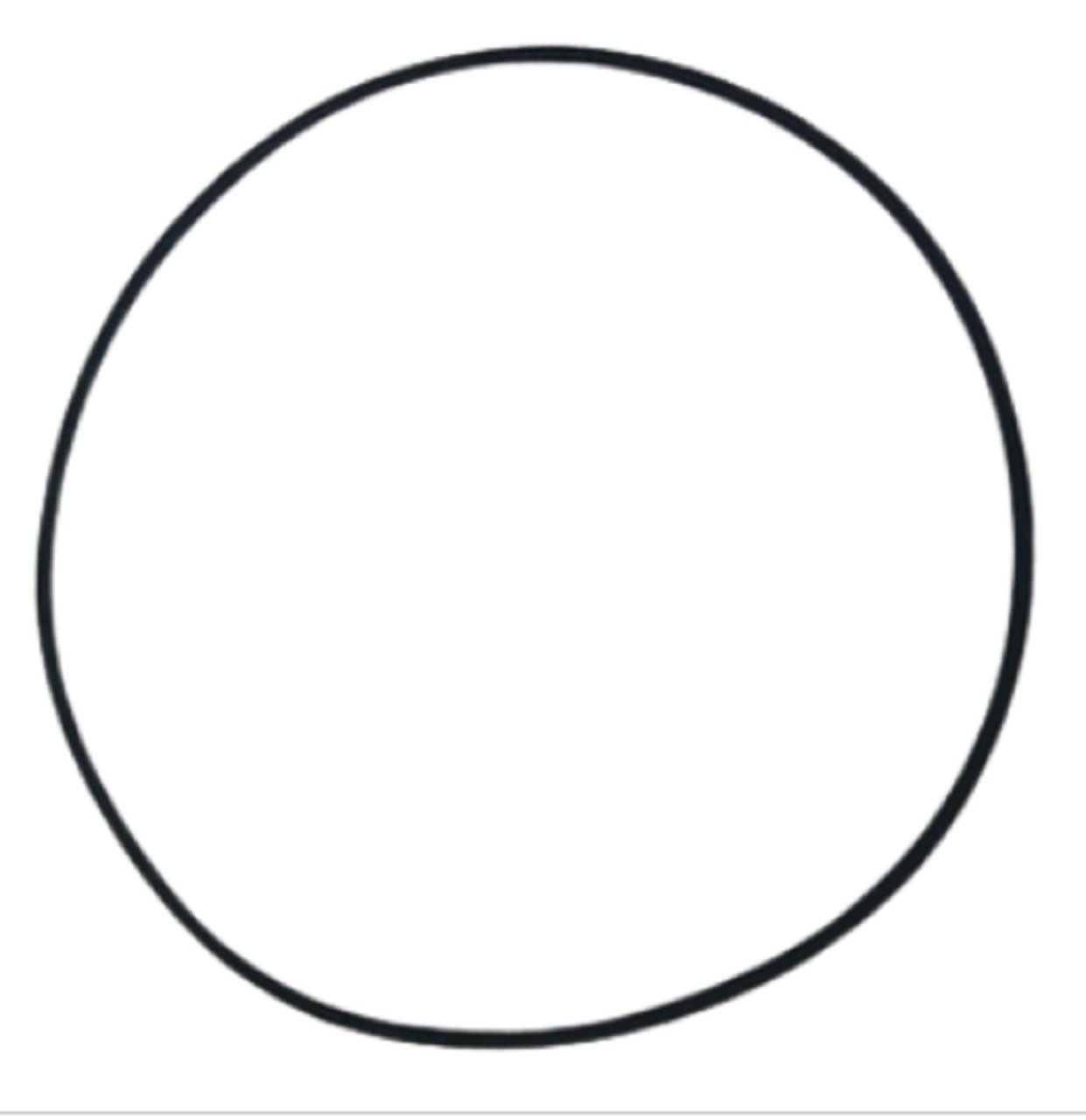 Antor 820 Hava Filtre Oringi Kalın Em Orjinal