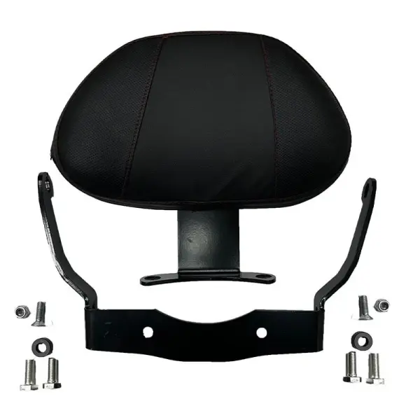 Honda Forza 250 2023-2024 Sissy Bar GOGO