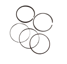 GX160-200 Sekman Takımı 0.50mm Renixpart