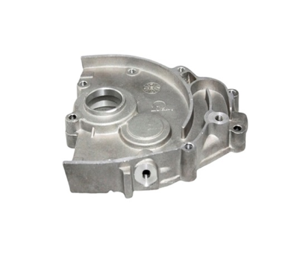 Scooter Serisi Karter Şanzıman Kapak Rialli