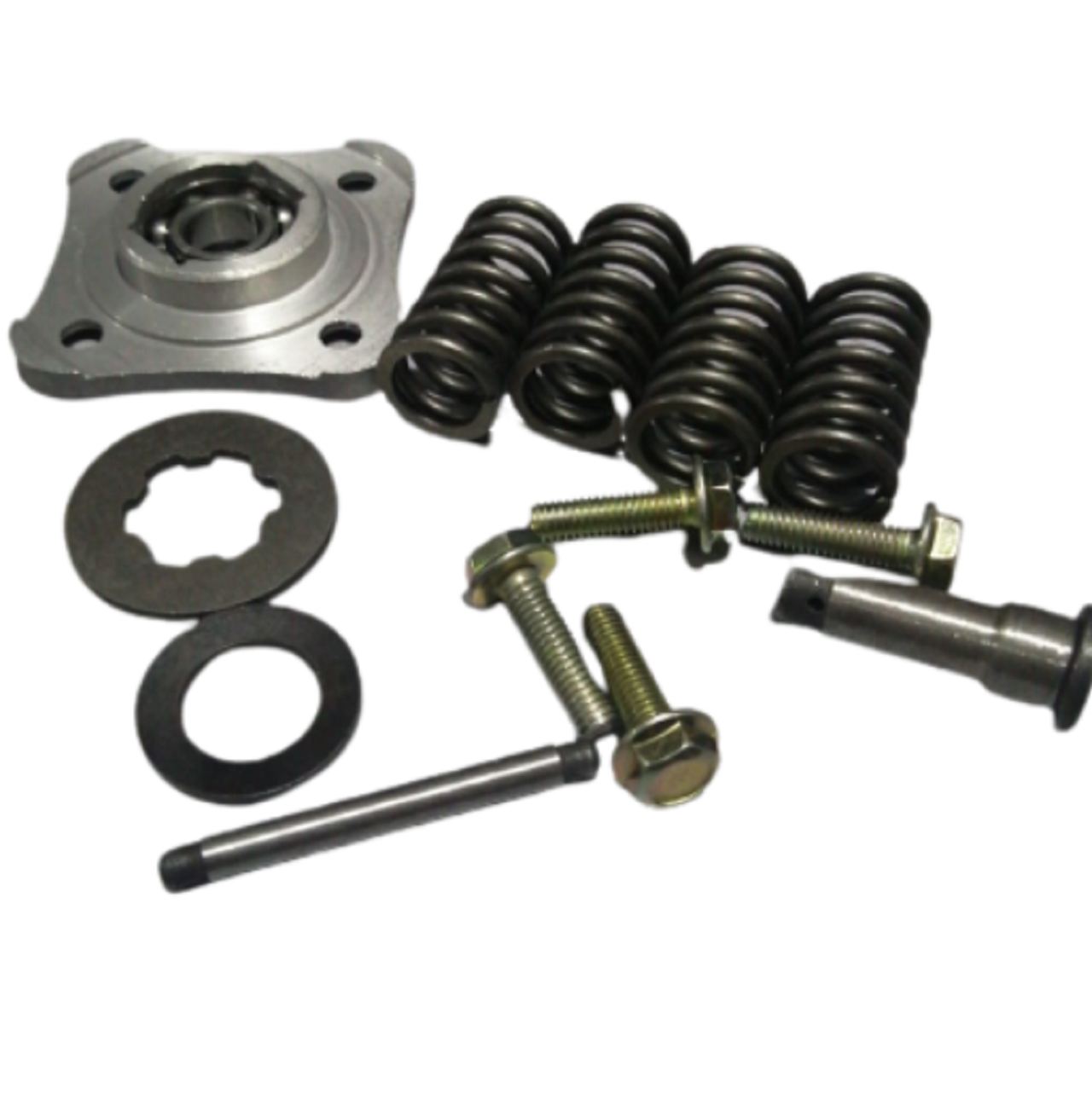 Cup Serisi Debriyaj Tamir Takımı (çift Debriyajlı Tip) Rialli