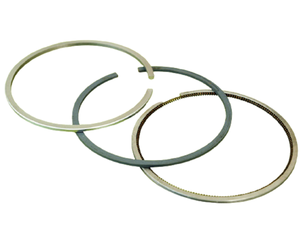 Ruggerini Ry50 Sekman Takımı Std Goldmoto