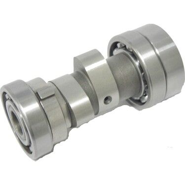 Cup 110 Serisi Eksantrik Mili CTVR