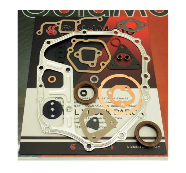 178f Takım Conta Keçeli Goldmoto