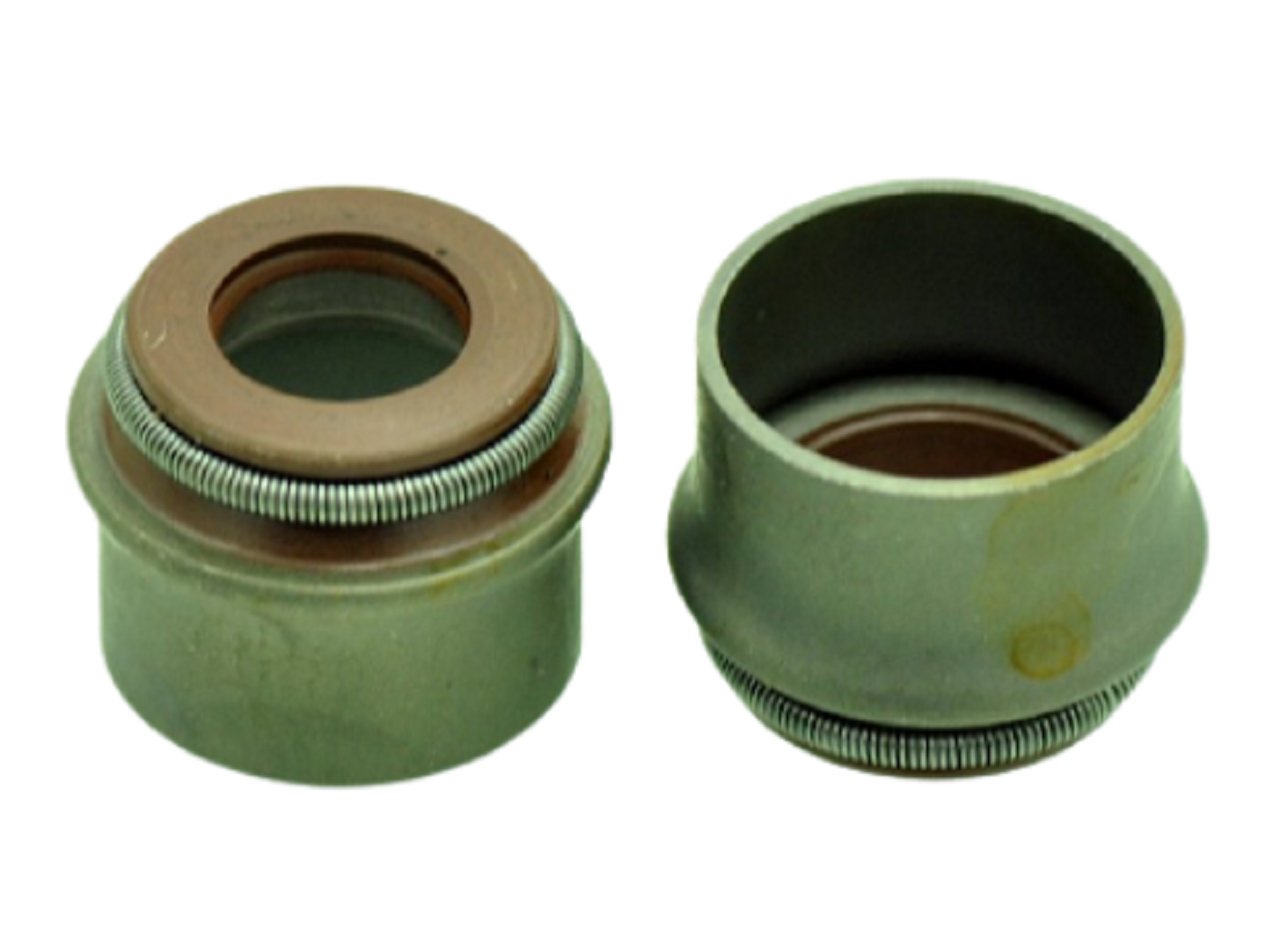 1100F Subap Yağ Keçesi Empar