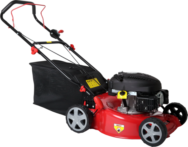 Goldmoto Wr46 Benzinli Çimbiçme Makinası İtmeli 4.5hp