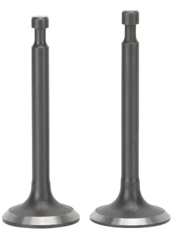 GX160 Subap Takımı Emme ve Eksoz Renixpart