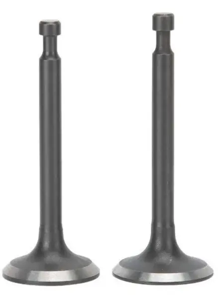 GX160 Subap Takımı Emme ve Eksoz Renixpart