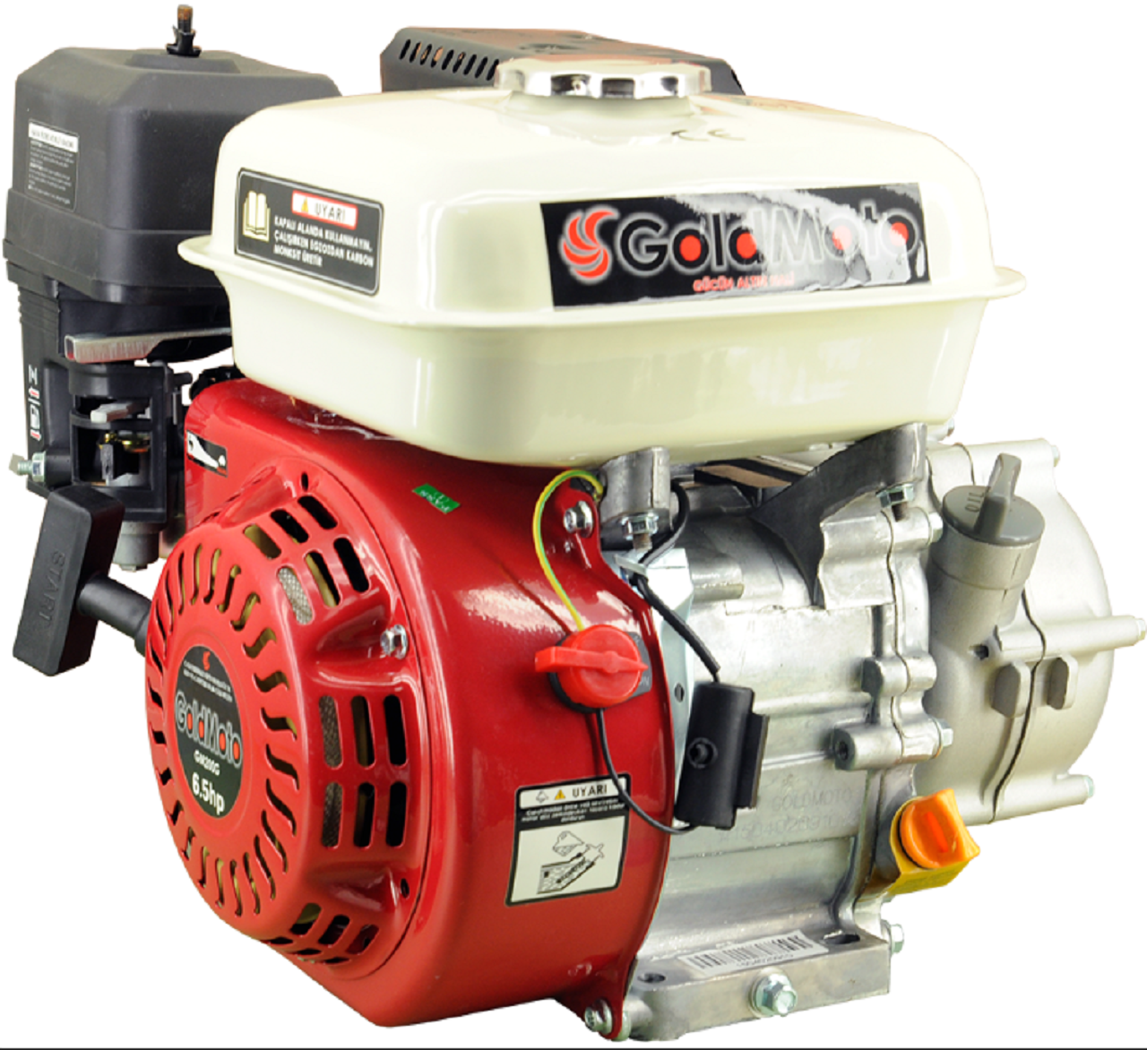 Goldmoto GM200G Benzinli Motor GOKART 6.5 HP