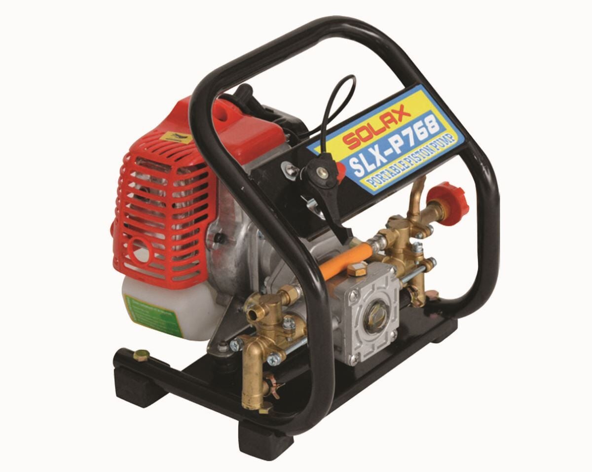 Solax P768 Motorlu Pistonlu Pompa 1HP