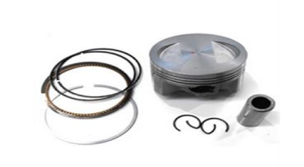 Cg Serisi Piston Sekman Takımı 65,50mm Düşük 13 pim Prc