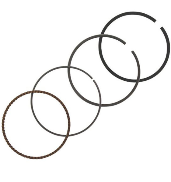 Vanguard 18hp Sekman Takımı Std 72.00mm (843793-807889) Goldmoto