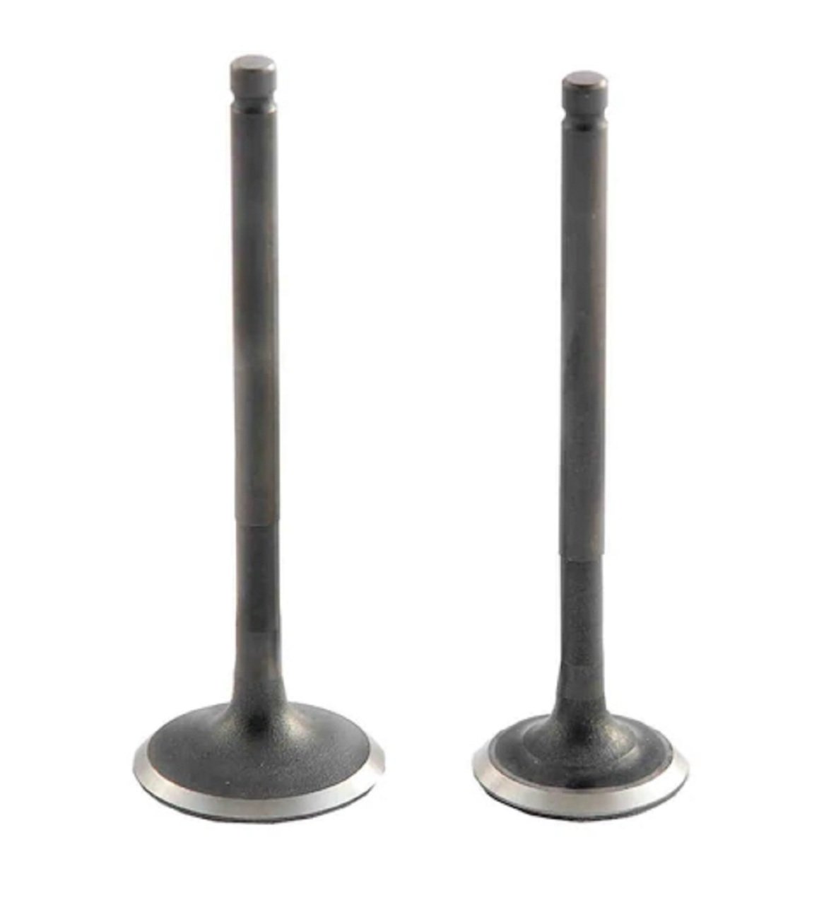 Mondial 100kh Sibop Takımı Deltaforce