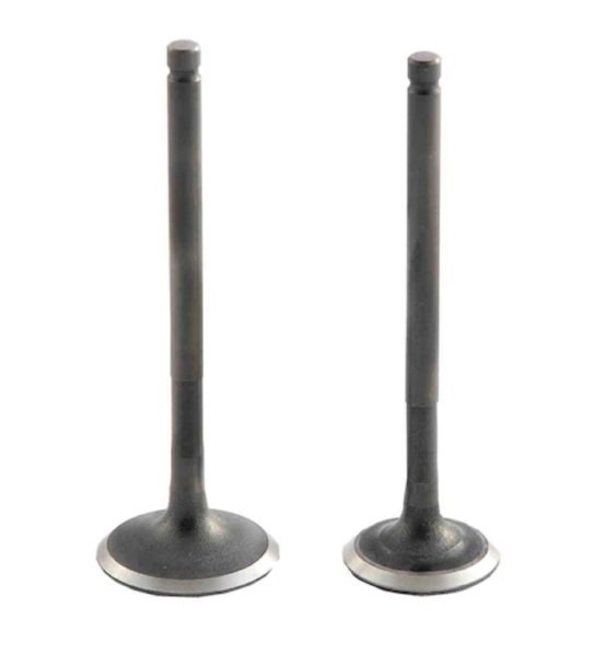 Mondial 100kh Sibop Takımı Deltaforce