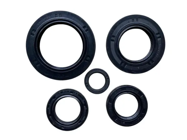 Honda PCX 125 Keçe Seti 5 Li Prc