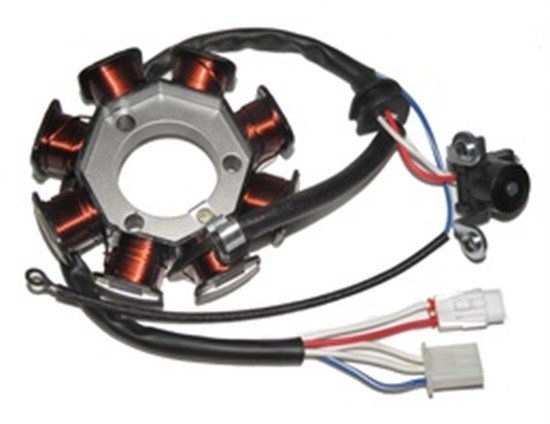 Yamaha Ybr125 Statör Komple 7+1 2006 Rialli