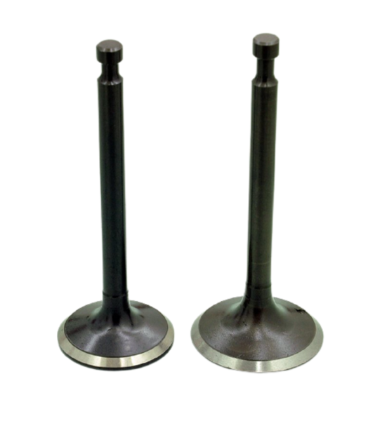 190f Gx420-gx440 Subap Takımı Empar