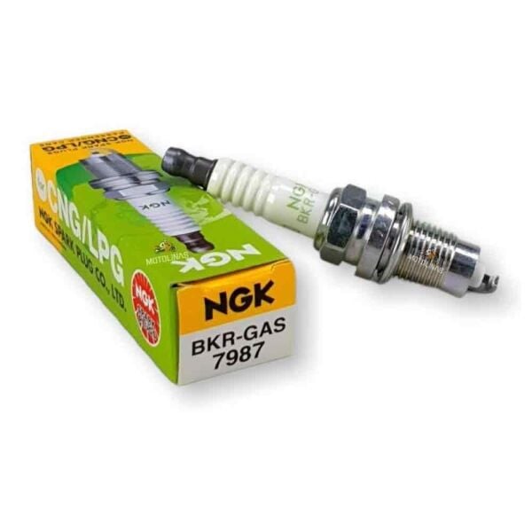 Buji BKR-GAS 7987 NGK