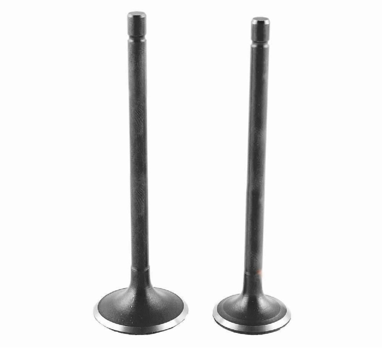 Honda Spaccy Sibop Takımı Monero